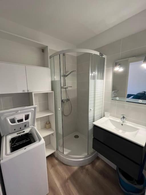 Apartment Lumineux, Terrasse, Piscine Proche Plages *